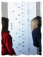 A printed genealogy wall chart