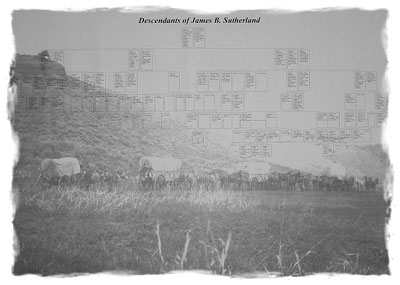 genealogy chart background image