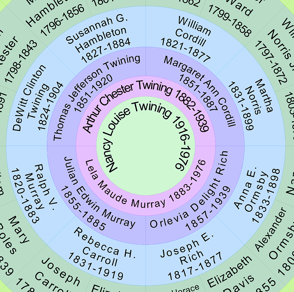 close-up of ancestor fan chart with colored rings