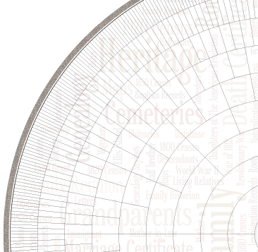 family history family tree, fan chart, genealogy reunion , wall